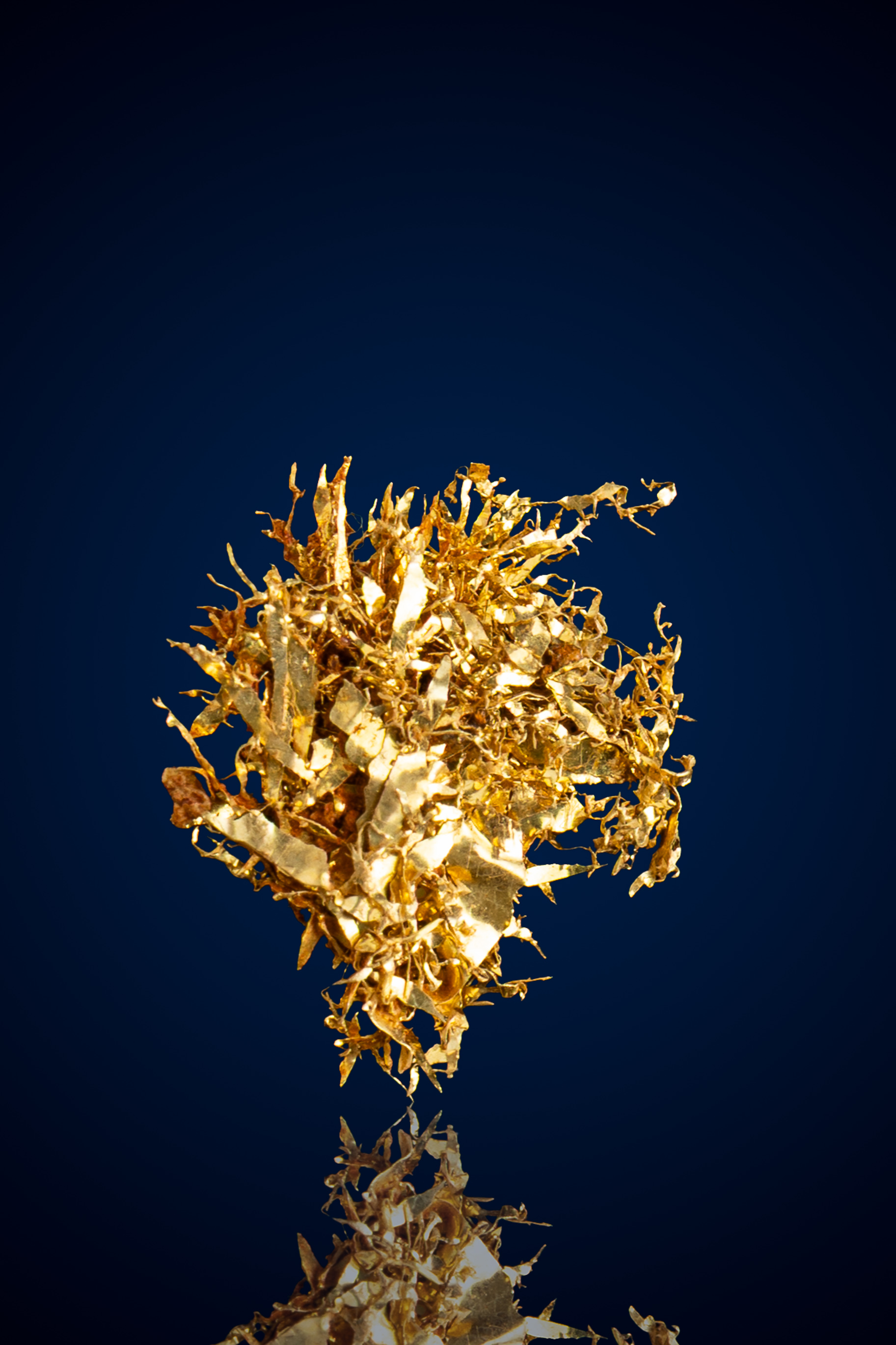 (image for) Dimensional, Ribbon-Like Natural Gold Specimen - Round Mountain, NV - 0.24 grams